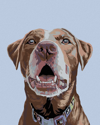 Malování podle čísel - HNĚDÝ LABRADOR - 40x50 cm, bez rámu a bez vypnutí plátna