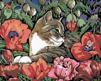 Malování podle čísel - KOTĚ A VLČÍ MÁK - 40x50 cm, bez rámu a bez vypnutí plátna