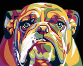 Malování podle čísel - BULDOG - 40x50 cm, bez rámu a bez vypnutí plátna