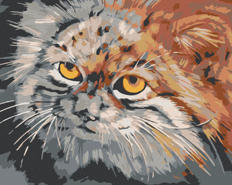 Malování podle čísel - ŠEDOHNĚDÁ KOČKA - 40x50 cm, bez rámu a bez vypnutí plátna