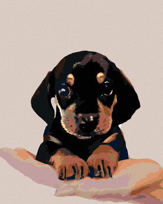 Malování podle čísel - ŠTĚNĚ KRÁTKOSRSTÉHO JEZEVČÍKA - 40x50 cm, bez rámu a bez vypnutí plátna