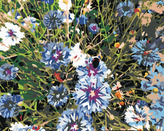 Malování podle čísel - CHRPY MODRÉ - 80x100 cm, bez rámu a bez vypnutí plátna