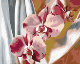 Malování podle čísel - RŮŽOVÁ ORCHIDEJ - 40x50 cm, bez rámu a bez vypnutí plátna