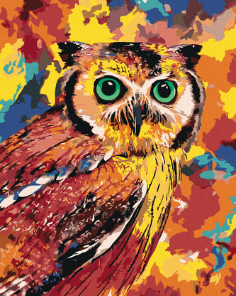 Malování podle čísel - BAREVNÁ SOVA - 40x50 cm, bez rámu a bez vypnutí plátna