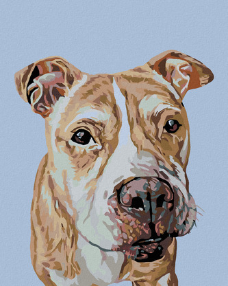 Malování podle čísel - HNĚDÝ STAFORD - 40x50 cm, bez rámu a bez vypnutí plátna