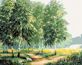 Malování podle čísel - BŘÍZY U CESTY II - 40x50 cm, vypnuté plátno na rám