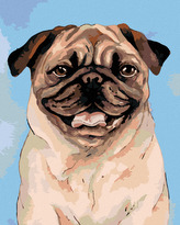 Malování podle čísel - HNĚDÝ MOPSÍK - 40x50 cm, bez rámu a bez vypnutí plátna