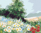 Malování podle čísel - SEDMIKRÁSKOVÉ POLE - 40x50 cm, vypnuté plátno na rám