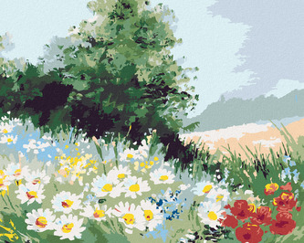 Malování podle čísel - SEDMIKRÁSKOVÉ POLE - 40x50 cm, vypnuté plátno na rám