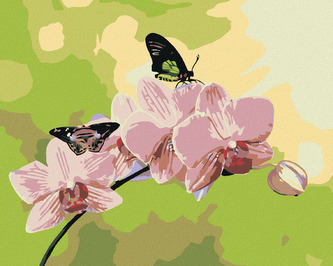 Malování podle čísel - ORCHIDEJ S MOTÝLKY - 40x50 cm, bez rámu a bez vypnutí plátna