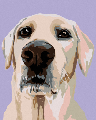 Malování podle čísel - LABRADORSKÝ RETRÍVR - 40x50 cm, bez rámu a bez vypnutí plátna