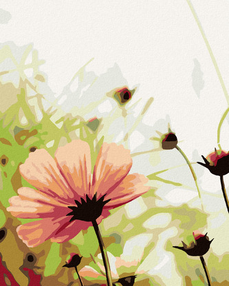 Malování podle čísel - ROZKVĚTLÁ KVĚTINA NA LOUCE - 40x50 cm, vypnuté plátno na rám