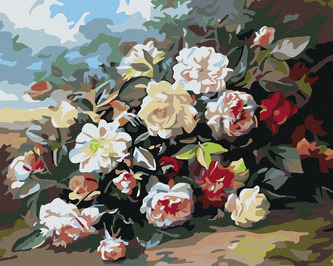 Malování podle čísel - PLANÉ RŮŽE - 40x50 cm, bez rámu a bez vypnutí plátna