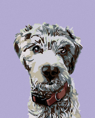 Malování podle čísel - CHLUPÁČ S ČERVENÝM OBOJKEM - 40x50 cm, bez rámu a bez vypnutí plátna