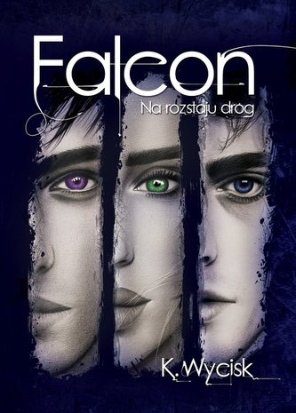 Falcon Na rozstaju dróg Tom 2 / Wycisk K. Falcon Na rozstaju dróg Tom 2 / Wycisk K.