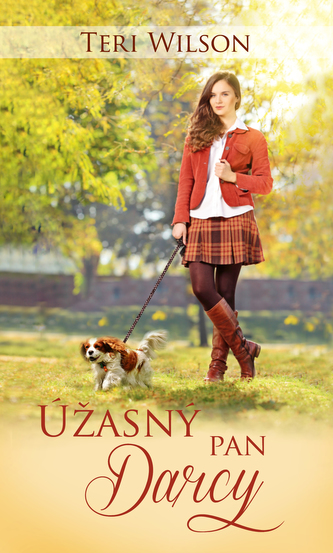 Úžasný pan Darcy