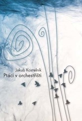 Ptáci v orchestřišti