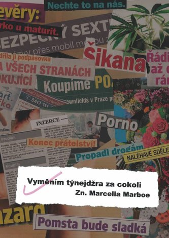 Vyměním týnejdžra za cokoli