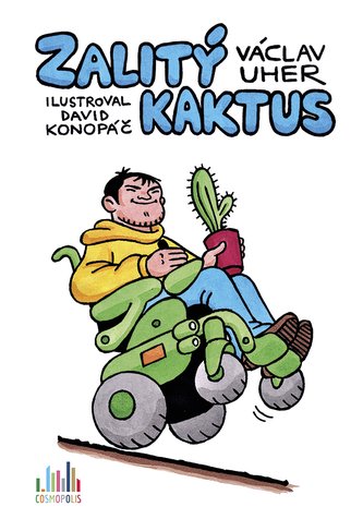 Zalitý kaktus