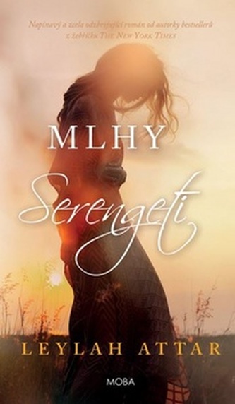 Mlhy Serengeti