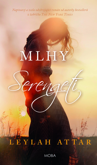 Mlhy Serengeti