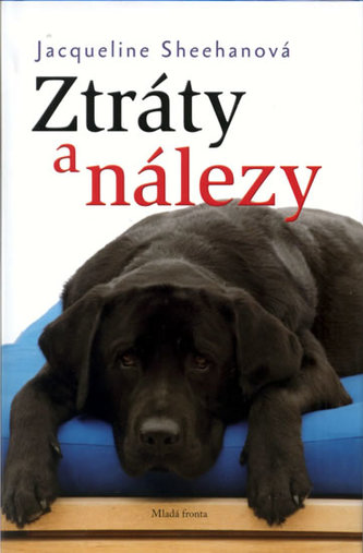 Ztráty a nálezy Ztráty a nálezy