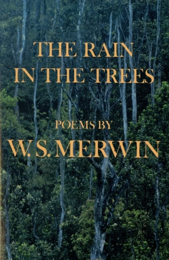 Rain in the Trees