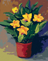 Malování podle čísel - NARCISY V KVĚTINÁČI - 40x50 cm, vypnuté plátno na rám