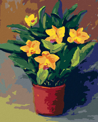 Malování podle čísel - NARCISY V KVĚTINÁČI - 40x50 cm, vypnuté plátno na rám