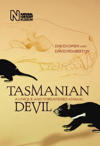 Tasmanian Devil Tasmanian Devil