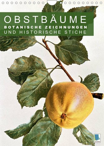 Obstbäume: Botanische Zeichnungen und historische Stiche (Wandkalender 2022 DIN A4 hoch)