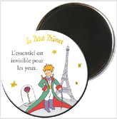 MAGNET MAGR26Z01 MALÝ PRINC KIUB