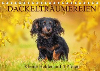 Dackelträumereien - Kleine Helden auf 4 Pfoten (Tischkalender 2022 DIN A5 quer)