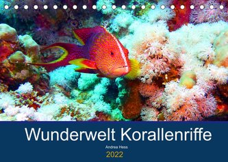 Wunderwelt Korallenriffe (Tischkalender 2022 DIN A5 quer)