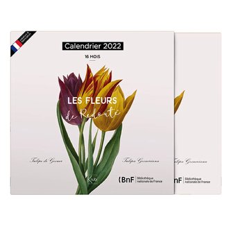 Kalendář CALCLA053 TULIPÁN KIUB