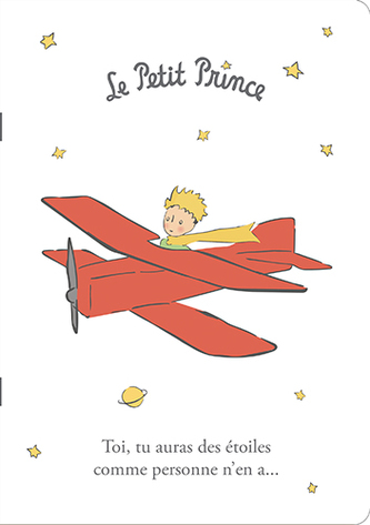 SEŠIT A5 CAHA5PP15 LE. PRINCE KIUB