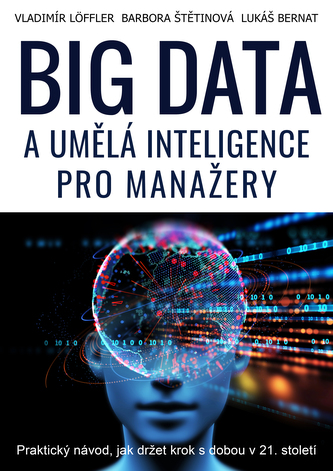 BIG DATA a umělá inteligence pro manažery