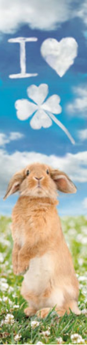 3D záložka - I love clover 3D záložka - I love clover