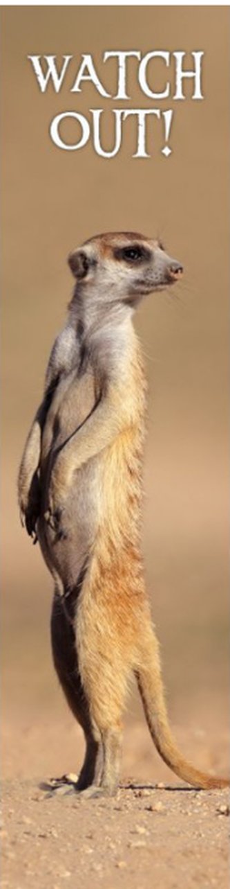 3D záložka - Watch out!