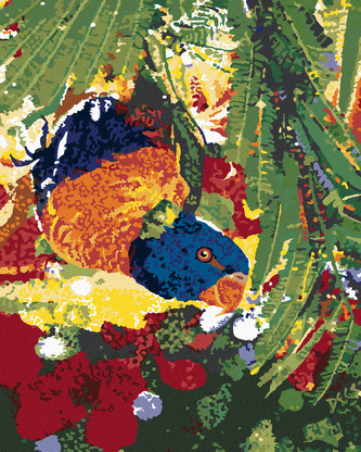 Malování podle čísel - PAPOUŠEK HLAVOU DOLŮ - 40x50 cm, vypnuté plátno na rám