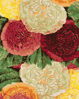 Malování podle čísel - PESTRÉ PIVOŇKY - 40x50 cm, bez rámu a bez vypnutí plátna