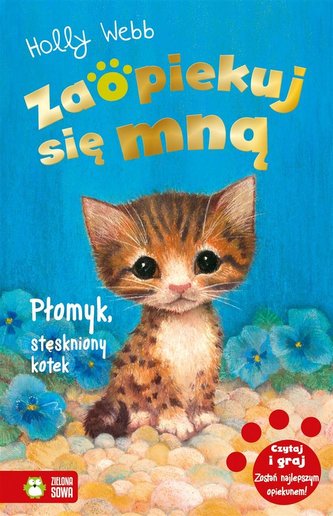 Zaopiekuj się mną Płomyk stęskniony kotek Zaopiekuj się mną Płomyk stęskniony kotek