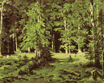 Malování podle čísel - LES (IVAN SHISHKIN) - 40x50 cm, bez rámu a bez vypnutí plátna
