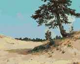 Malování podle čísel - BOROVICE NA PÍSKU (IVAN SHISHKIN) - 40x50 cm, bez rámu a bez vypnutí plátna