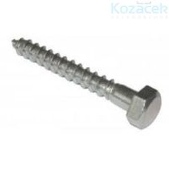 Vrut 10x 60mm Zn 6hran  100ks