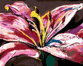 Malování podle čísel - VELKÁ RŮŽOVÁ LILIE - 80x100 cm, vypnuté plátno na rám