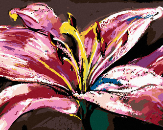 Malování podle čísel - VELKÁ RŮŽOVÁ LILIE - 40x50 cm, vypnuté plátno na rám