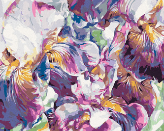 Malování podle čísel - FIALOVÉ KOSATCE - 80x100 cm, bez rámu a bez vypnutí plátna