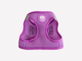 STEP-IN postroj PURPLE-M STEP-IN postroj PURPLE-M