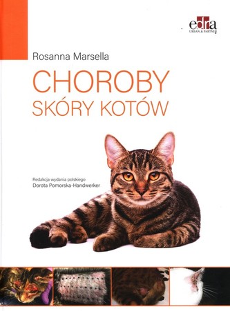 Choroby skóry kotów